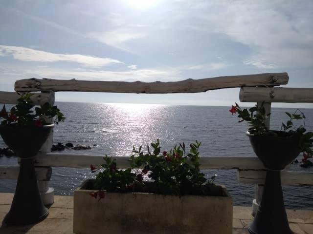 Al Chiaro Di Luna Resort Borgo Pantano Zewnętrze zdjęcie